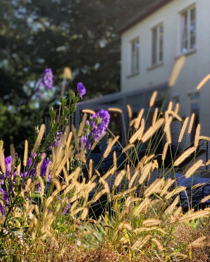 Hotel Au Nom De Dieu Dilsen-Stokkem Zewnętrze zdjęcie